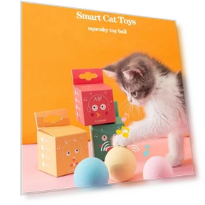 Interactive Ball Catnip Cat Training Toy — Cat Playthings, AIMEI Pet Tools