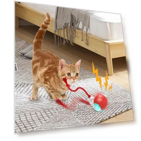 Interactive Self-Moving Electronic Smart Ball for Pets — Interactive Animal Companions, Boyuan