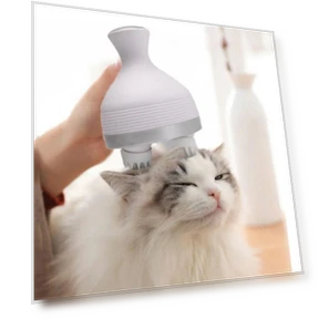 Smart Pet Massage Comb — Combs, Jiaqiinfee