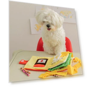 Interactive Dog Toy with Sound and Hidden Treat — Toys