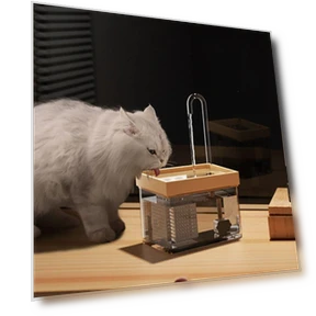 Smart Cat Water Fountain — Fountains, Zhonghefu