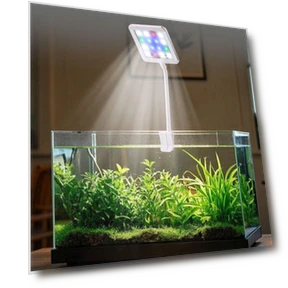Aquarium LED Clip Light with 360° Rotation — Lights, Jiaqiinfee