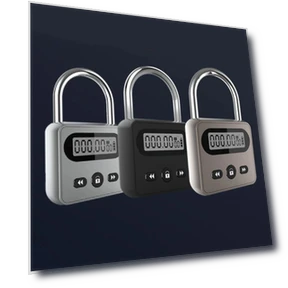 Security Lock with LCD Display — Padlocks & Hasps, Teenyee