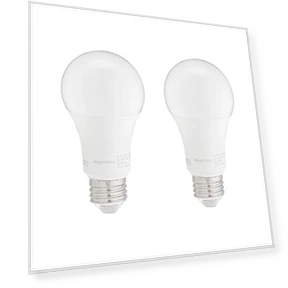 A19 LED Light Bulbs — LED, Amazon Basics