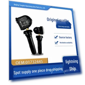Car-Mounted Tire Pressure Sensor — Brake Wear, Discount Domain
