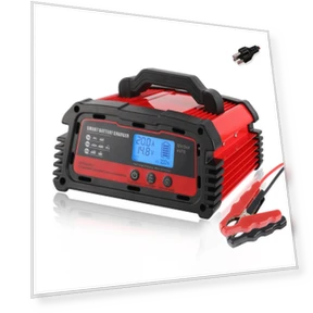 Universal Intelligent Pulse Repair Battery Charger — Chargers, DMD