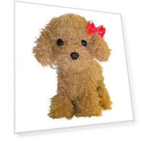 Talking, Moving, Singing Toy Poodle — Interactive, hayatospeed