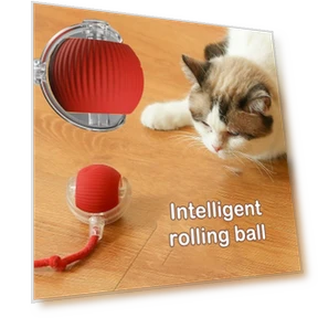 Automatic Electric Rolling Ball Cat Toy — Cat Playthings, Wotypea