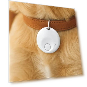 Message Reminder Pet Smart GPS Tracker Mini Pet Locator Portable Find My Device Tracker Backpack — Location Tracking Devices, Cmjyrtye