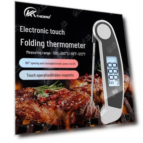 Folding Smart Thermometer for BBQ and Baking — Instant-Read, Discount Domain