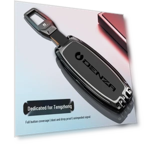 Key Case for Denza — Key Holders & Accessories, Discount Domain