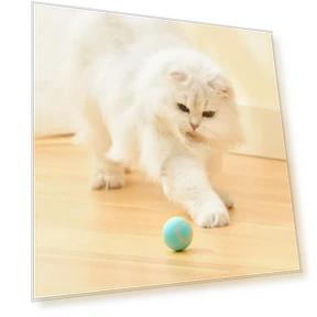 Rechargeable Automatic Rolling Interactive Dodge Ball — Cat Playthings