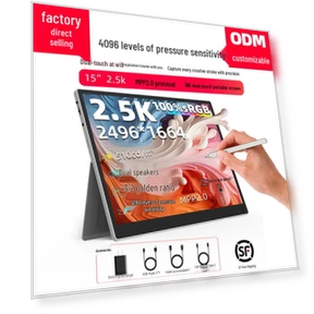 15" 2.5K Dual Touch Graphic Monitor — Display Solutions, ElectroCN