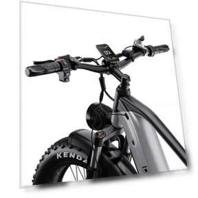 Fat Tire Electric Bike — Electric Vehicles, DUOTTS
