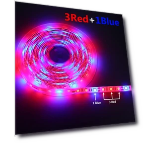 LED Grow Light Strip with Touch Switch — Growing Lamps, MALITAI