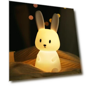 LED Night Light — Lamps & Shades, Binchi Lighting Appliances