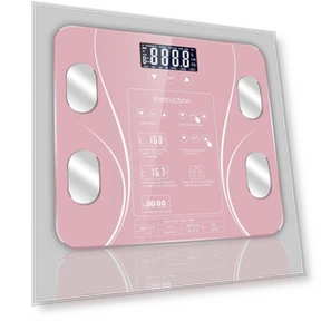 Smart Body Fat Scale — Weight Management Tools, Factory Discount Outlet