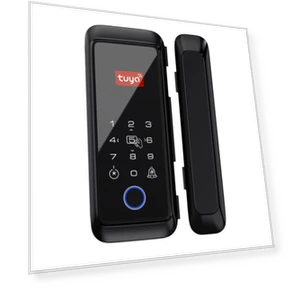Smart Lock with Fingerprint — Locks, TOMTOP JMS