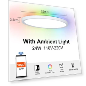 RGB Smart Ceiling Lamp — Overhead Lighting, Rainbow Rain