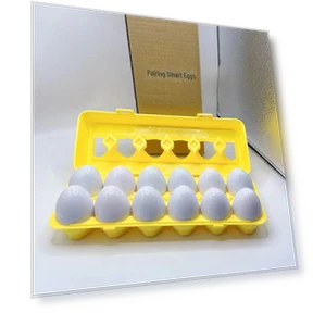 Smart Puzzle Egg — Infant & Early Childhood Playthings, WoW Area