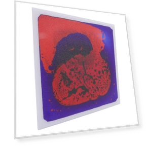 Liquid Sensory Floor Tile — Infant & Early Childhood Playthings, OutsideWorld