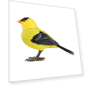 Voice and light controlled fun bird imitation toy — Interactive Learning Devices, Shredded cabbage