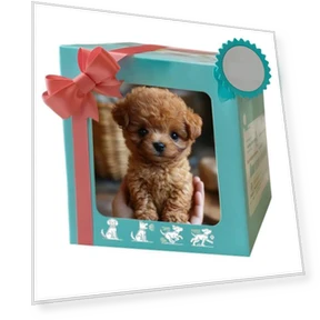 Electric Pet Robot Dog — Interactive Animal Companions, EDC Toy