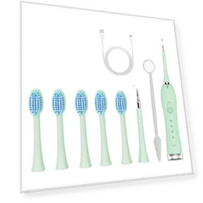 Waterproof Electric Toothbrush with 5 Brush Heads — Chargers, VITA Dogdog Smartwear