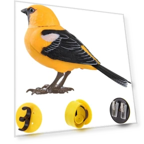 Interactive Toy Bird with Sound and Motion Control — Interactive Learning Devices, Zhonghefu