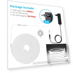 Smart PIR Motion Sensor with COB LED Neon Light Strip — Garden Illumination, MALITAI