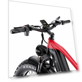 26*4.0 Inch Fat Tire Electric Bike — Electric Self-Balancing Scooters, DUOTTS