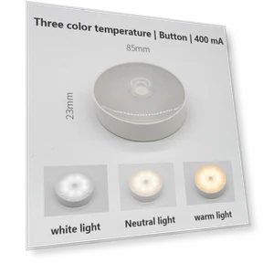 LED Human Body Sensor Night Light — Night Lights, Elberta