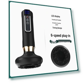 Intelligent Electric Gua Sha and Vacuum Therapy Device with Heating — Facial Steamers, the BAY