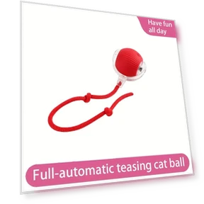 Interactive Ball Toy for Cats — Cat Playthings, The best future