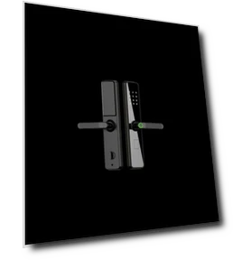 Smart Lock with Password and Fingerprint — Smart Home Security, TTLOCK