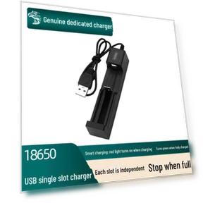 Smart USB Charger for Lithium Batteries — Chargers, AI Supermarket