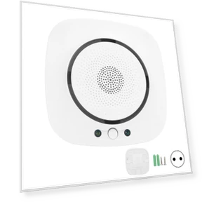Wi-Fi Gas Leak Alarm — Gas Safety Equipment, GoolRC