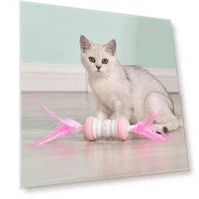 Electric Fun Toy for Cats — Cat Playthings, Smart Pet Supplies