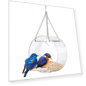 Smart Bird Feeder with Transparent Window and Wi-Fi Camera Suction — Backyard Birding, Automobile and motorcycle supplies