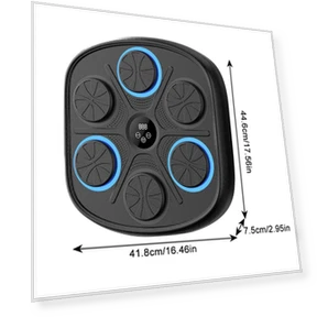 Smart LED Boxing Game Wall Target — Boxing Training Gear, Binchi Keji Travel
