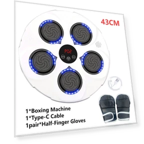 Smart Music Boxing Machine — Home Gyms, Binchi Keji Travel