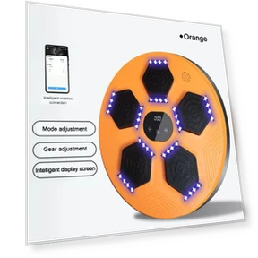 Smart Music Boxing Trainer — Boxing Training Gear, Binchi Keji Travel