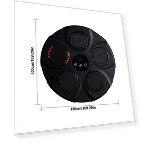 Smart Musical Boxing Machine — Home Gyms, Binchi Keji Travel