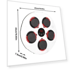 Smart Musical Boxing Target Trainer — Boxing Training Gear, Binchi Keji Travel