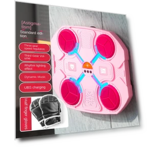 Smart Musical Boxing Target — Boxing Training Gear, Binchi Outdoor Equipment
