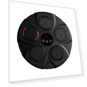 Smart Musical Boxing Target — Boxing Training Gear, Binchi Outdoor Equipment