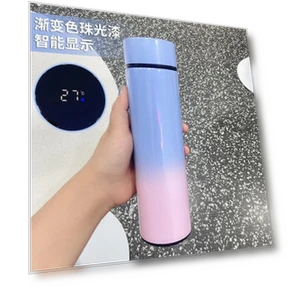 Smart Thermos with LED Temperature Display — Thermoses, Binchi Fitness
