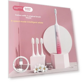 Ultrasonic Rechargeable Smart Electric Toothbrush — Ultrasonic, Binchi Health Technology