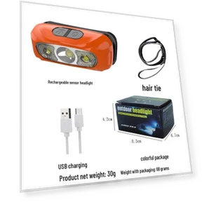 LED Headlamp with Induction Control and USB Charging — Flashlights, the BAY