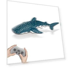 Remote Control Shark Kit Spray Water Toy — Beach Toys, Specials
